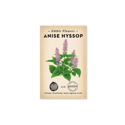 Little Veggie Patch Co. Anise Hyssop Edible Flower Heirloom Seeds