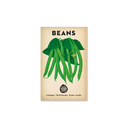 Little Veggie Patch Co Bean 'Windsor Long Pod' Heirloom Seeds