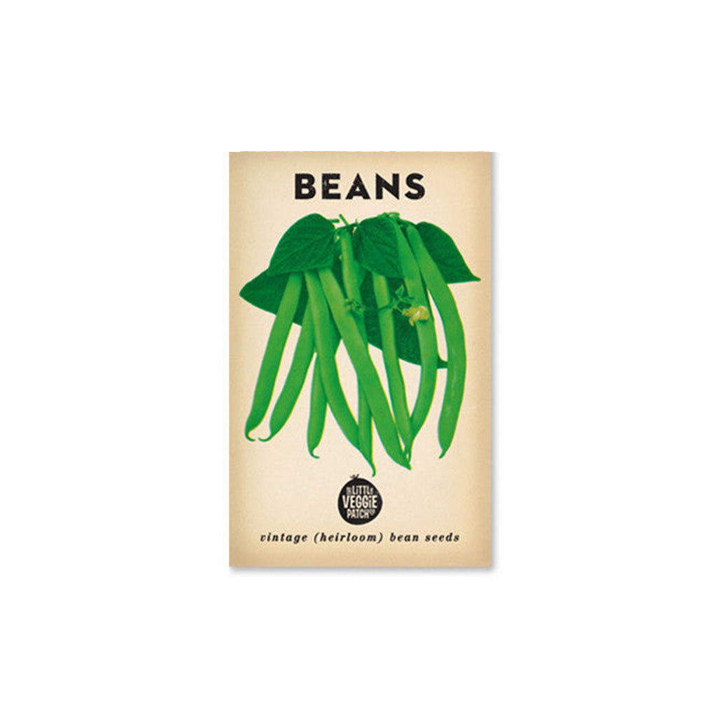 Beans 'Windsor Long Pod' Heirloom Seeds - Little Veggie Patch Co ...