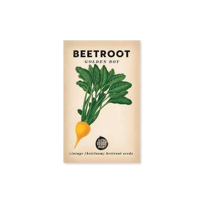 Little Veggie Patch Co. Beetroot 'Golden Boy' Heirloom Seeds