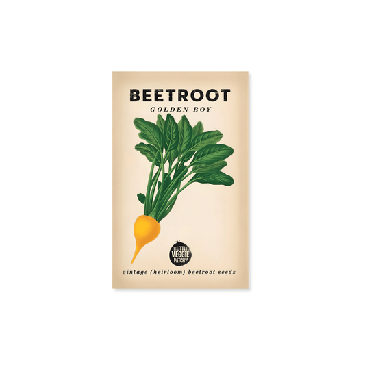 Little Veggie Patch Co. Beetroot 'Golden Boy' Heirloom Seeds