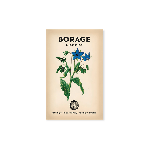 Little Veggie Patch Co. Borage 'Common' Heirloom Seeds