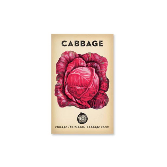 Little Veggie Patch Co. Cabbage 'Savoy Purple' Heirloom Seeds