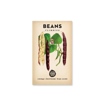 Little Veggie Patch Co. Beans Climbing 'Scarlett Runner' Heirloom Seeds