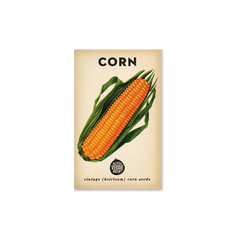 Little Veggie Patch Co Corn 'Sweet' Heirloom Seeds