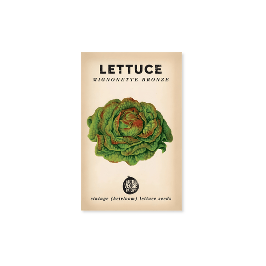 Little Veggie Patch Co. Lettuce 'Mignonette Bronze' Heirloom Seeds