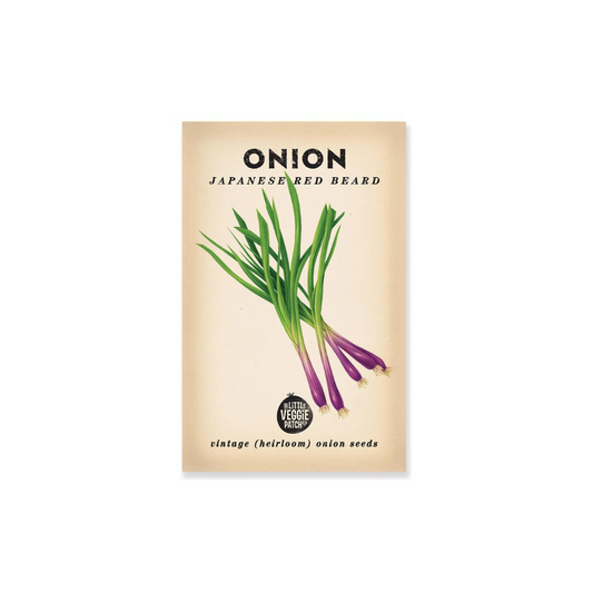 Little Veggie Patch Co. Onion 'Japanese Red Beard' Heirloom Seeds
