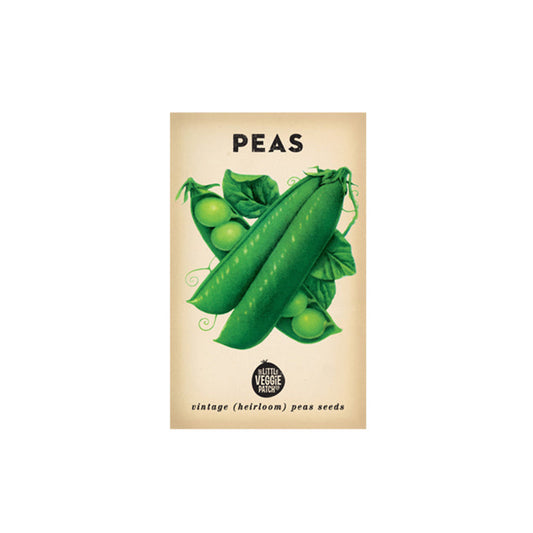 Little Veggie Patch Co Pea 'Snap Sugar Bon' Heirloom Seeds