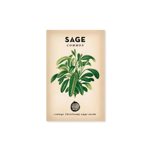 Little Veggie Patch Co. Sage 'Common' Heirloom Seeds