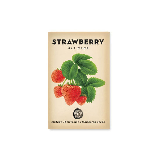 Little Veggie Patch Co. Strawberry 'Ali Baba' Heirloom Seeds