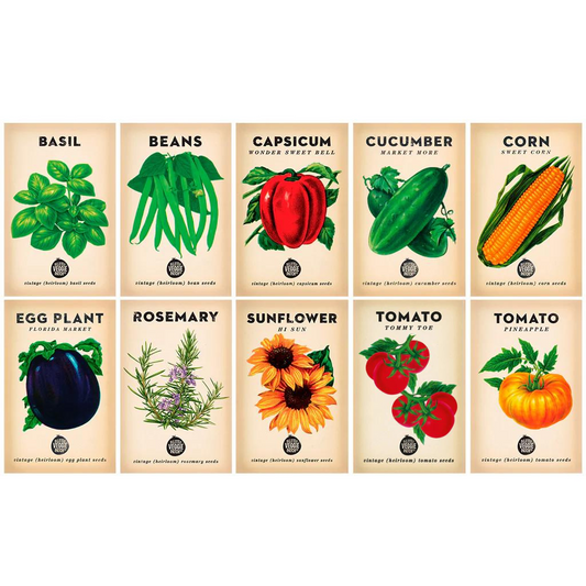 Little Veggie Patch Co Summer Seed Bundle