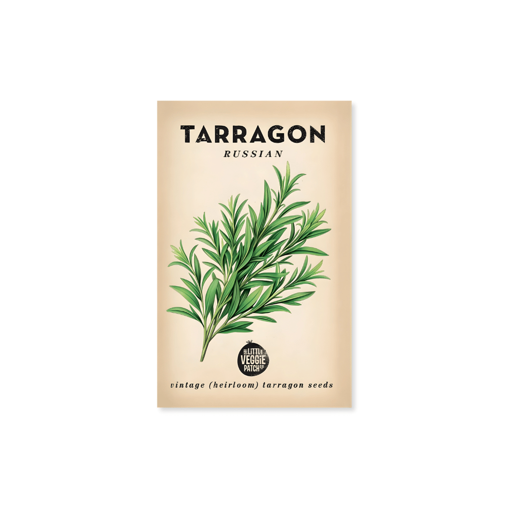 Little Veggie Patch Co. Tarragon 'Russian' Heirloom Seeds