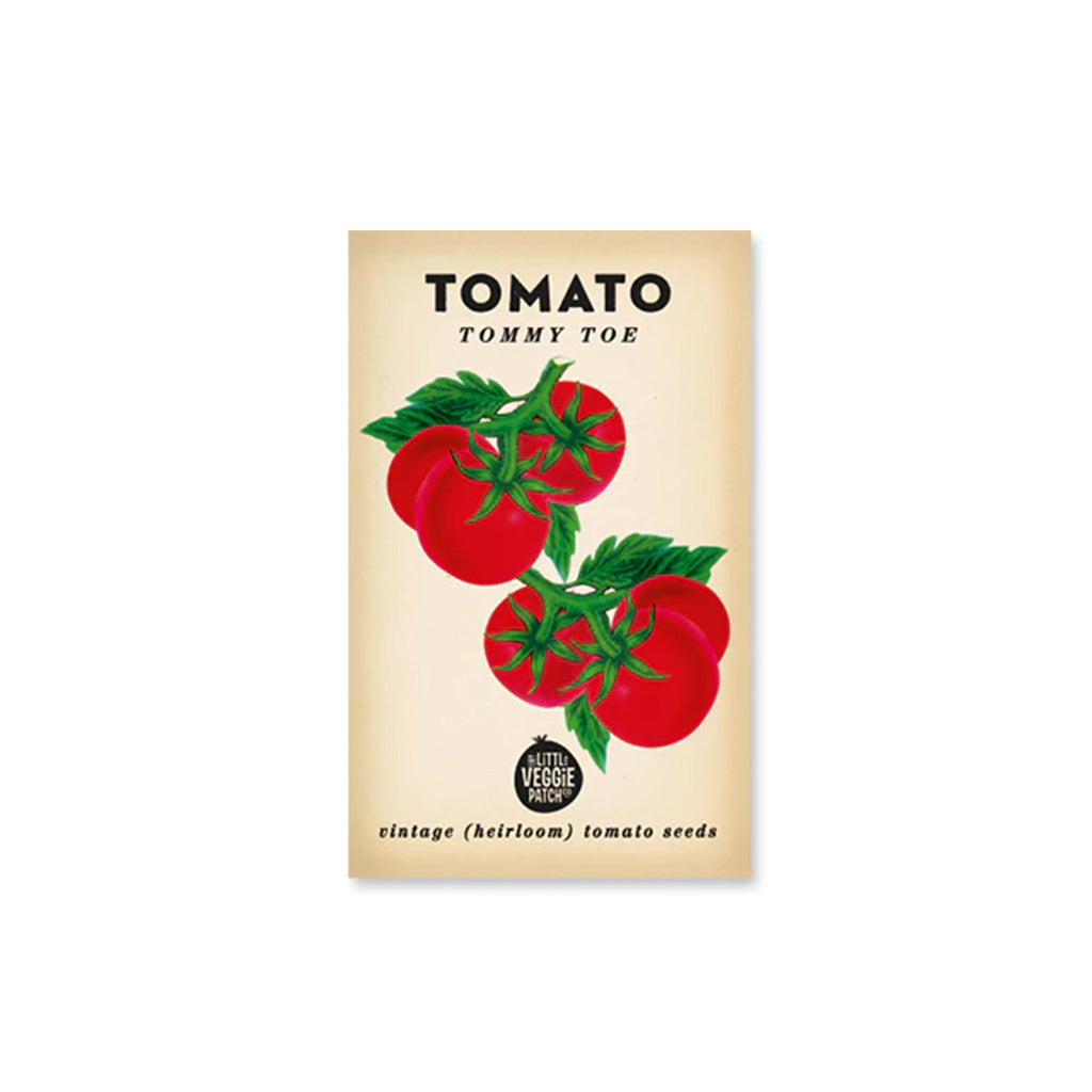 Little Veggie Patch Co Tomato 'Tommy Toe' Heirloom Seeds