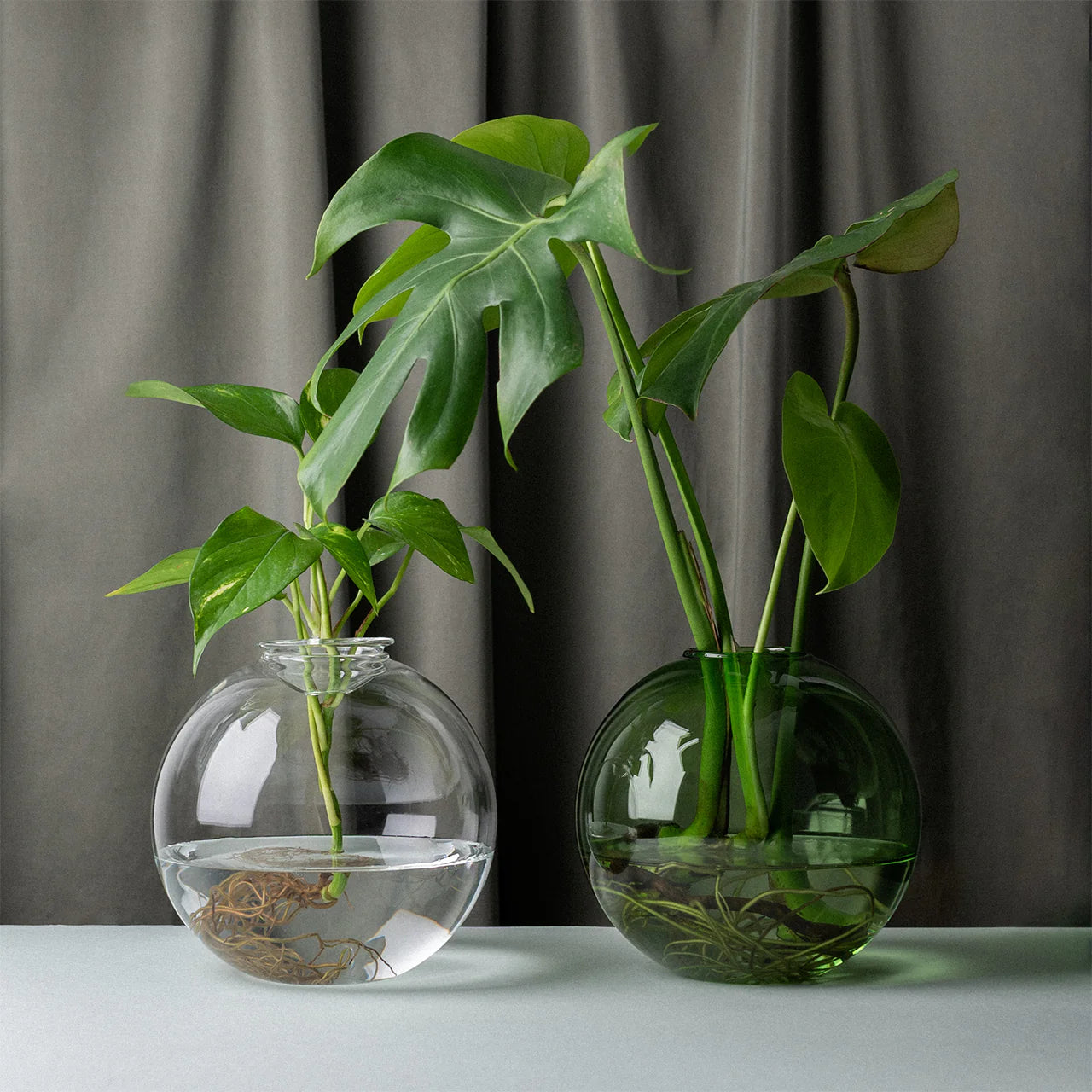 Studio Milligram Large Bulb Propagation Vases