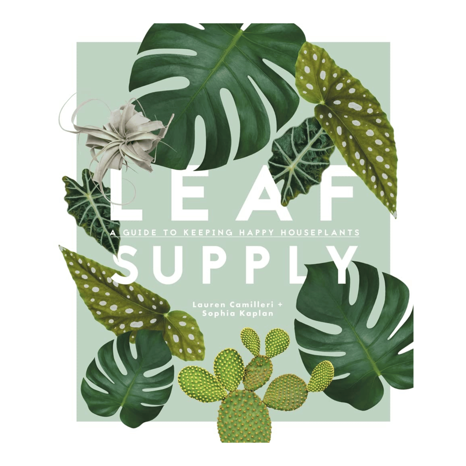 Leaf Supply Book Cover