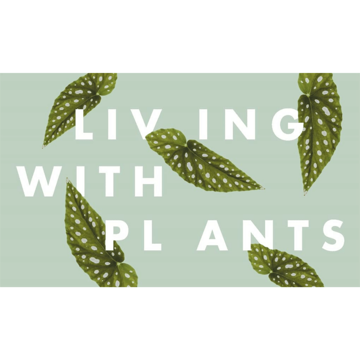 Leaf Supply Living with Plants