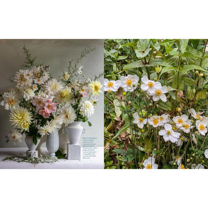 Life With Flowers Anemones
