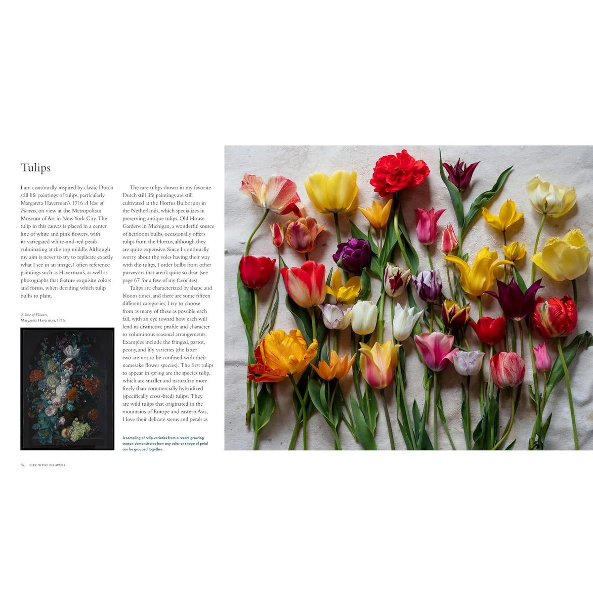 Life With Flowers Tulips