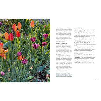 Life With Flowers Tulips 2