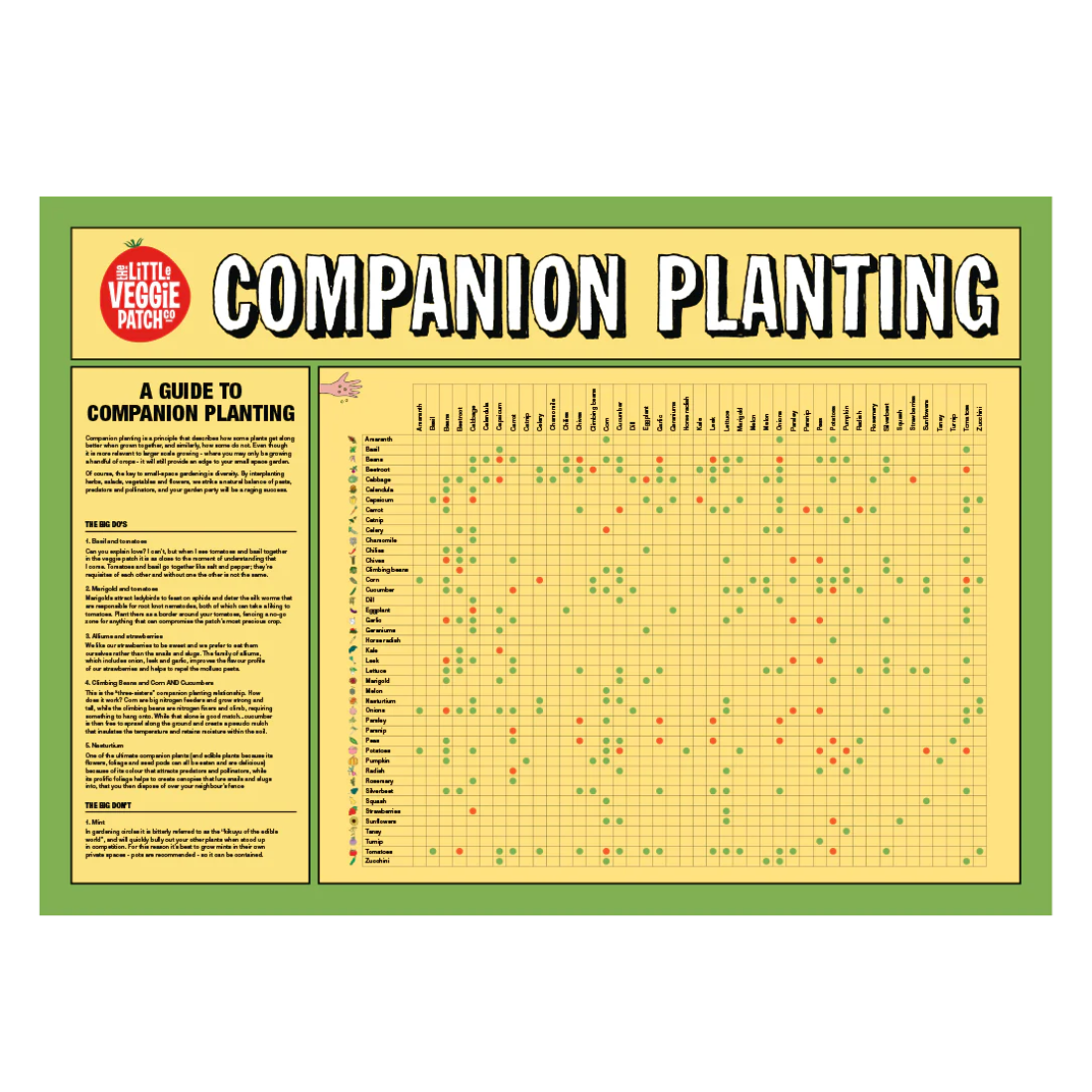 Little Veggie Patch Co. Companion Planting Guide