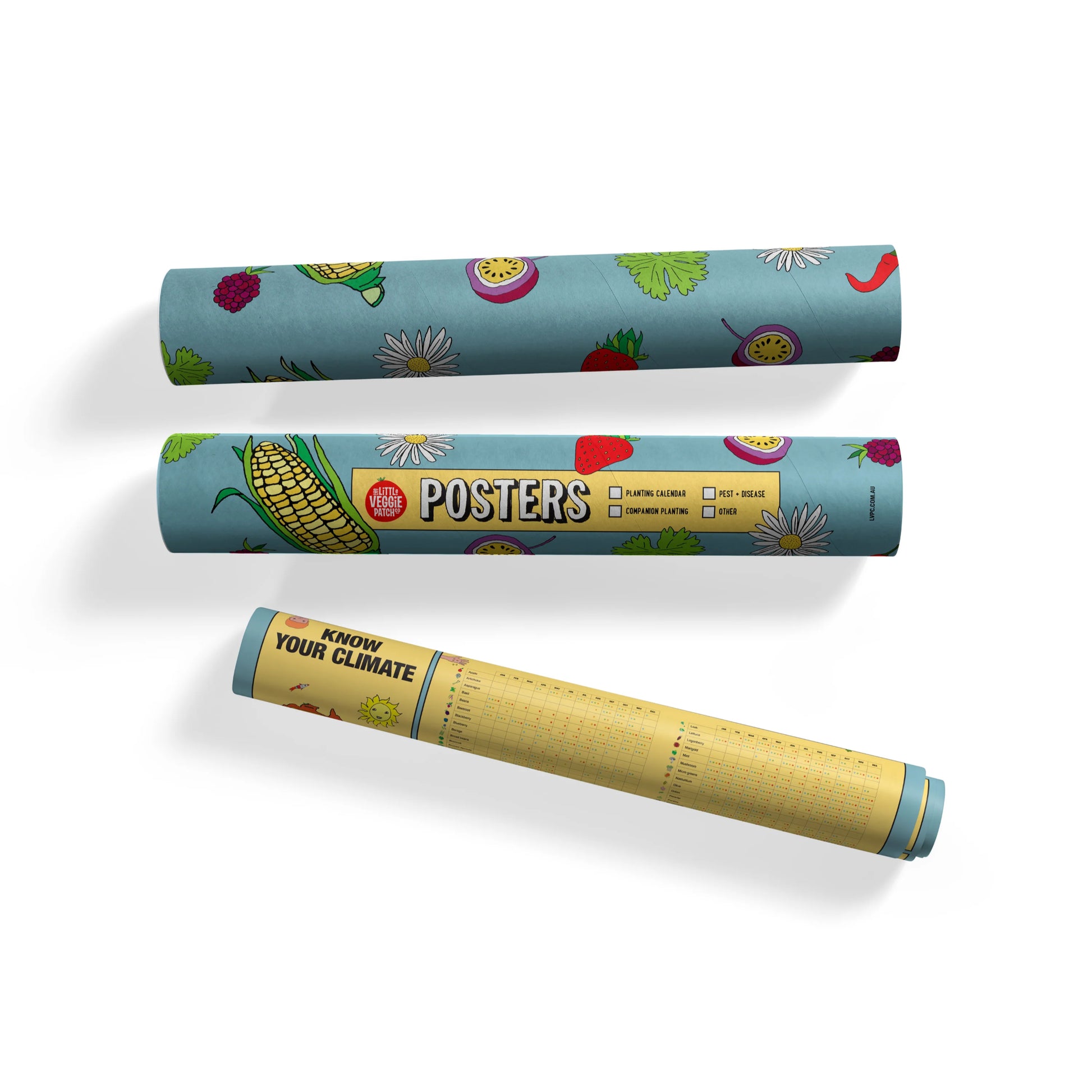 Little Veggie Patch Co. Planting Calendar in Poster Tube