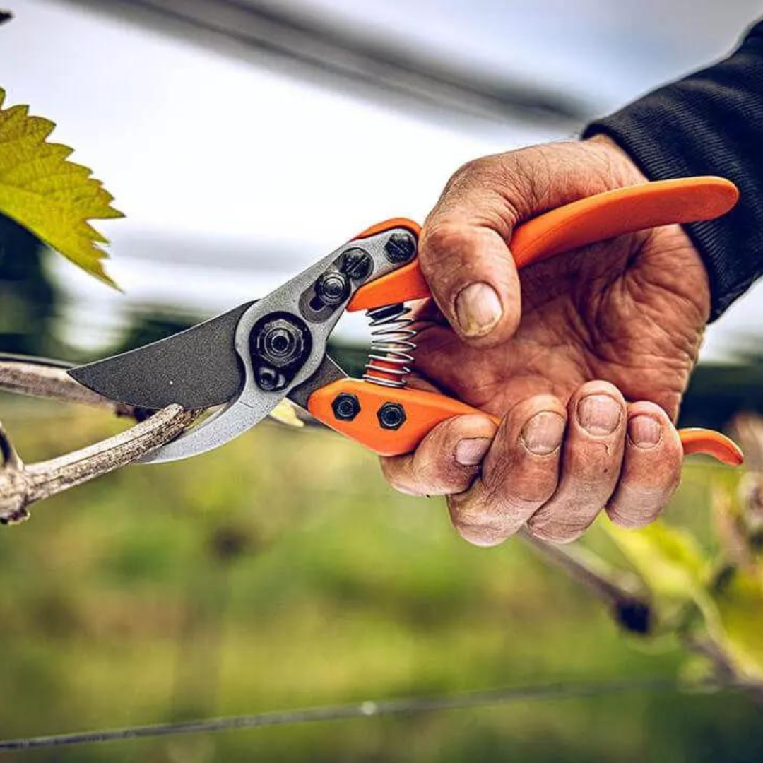 No11 (11.104) Precision Bypass Pruning Secateurs