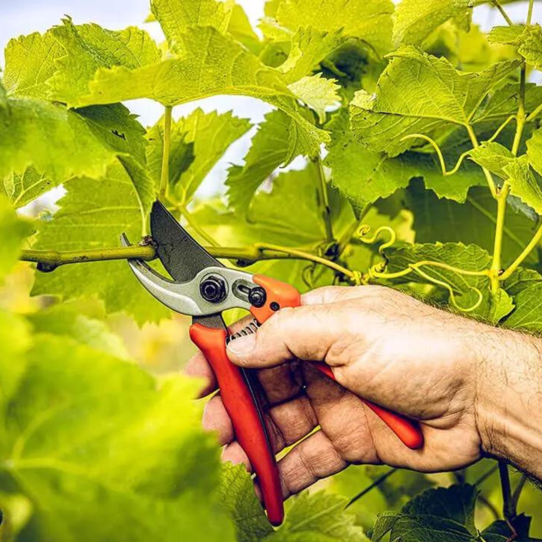 Lowe No14 (14.104) Compact Bypass Pruning Secateurs for Gardening