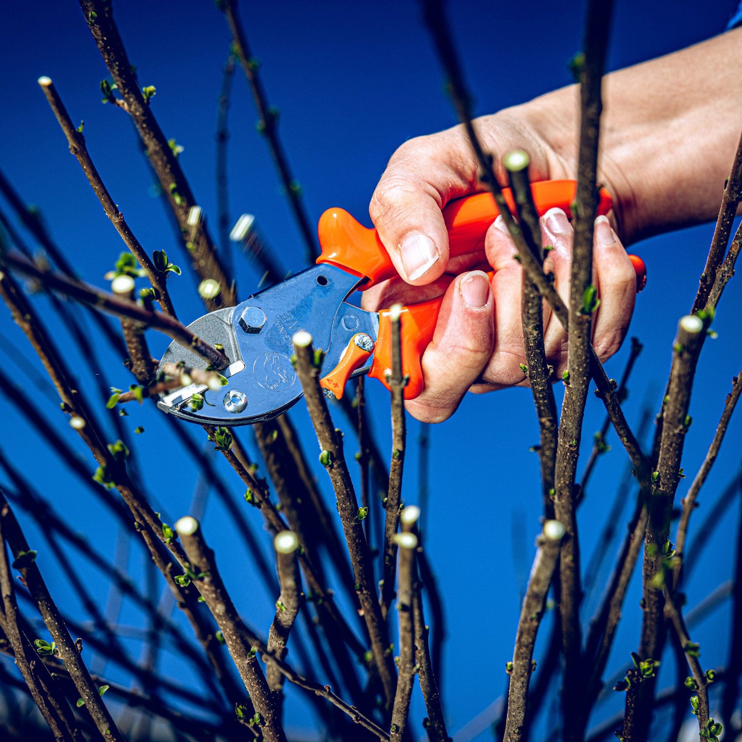 Lowe No5 Compact GardenPro Pruner