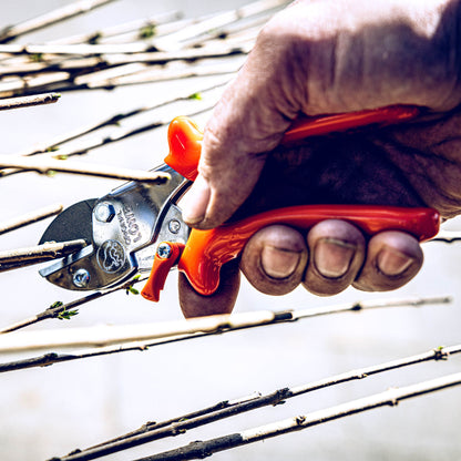 Lowe No5 Compact Pruner Cutting Branches