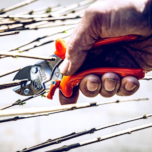 Lowe No5 Compact Pruner Cutting Branches