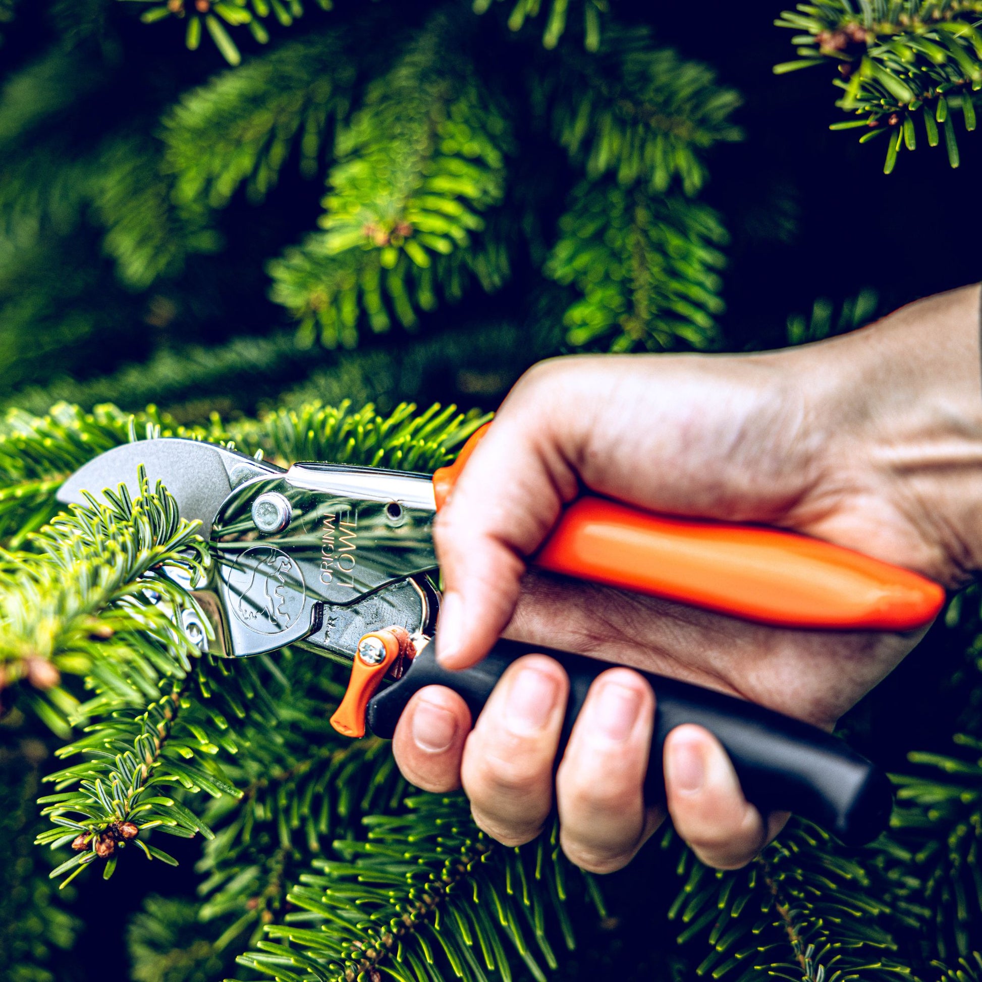 LÖWE No1 (1.107) Original Anvil Gardening Pruner with Roll Handle