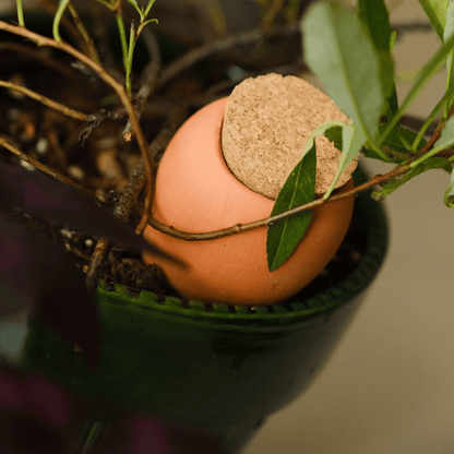 Mini Terracotta Olla Watering Spike in Plant Pot