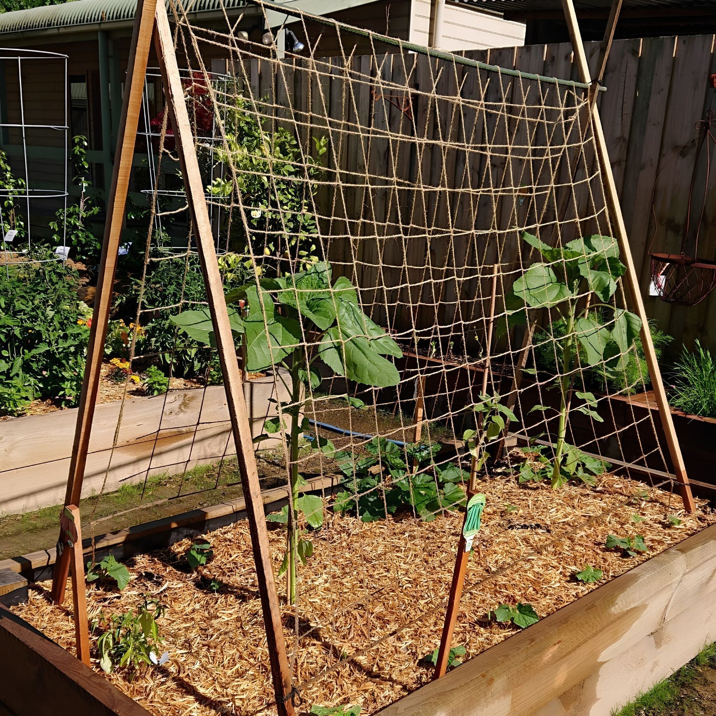 Natural Jute Garden Netting on Structure