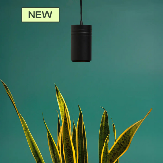 New Soltech Gen 2 Aspect™ Grow Light, Black