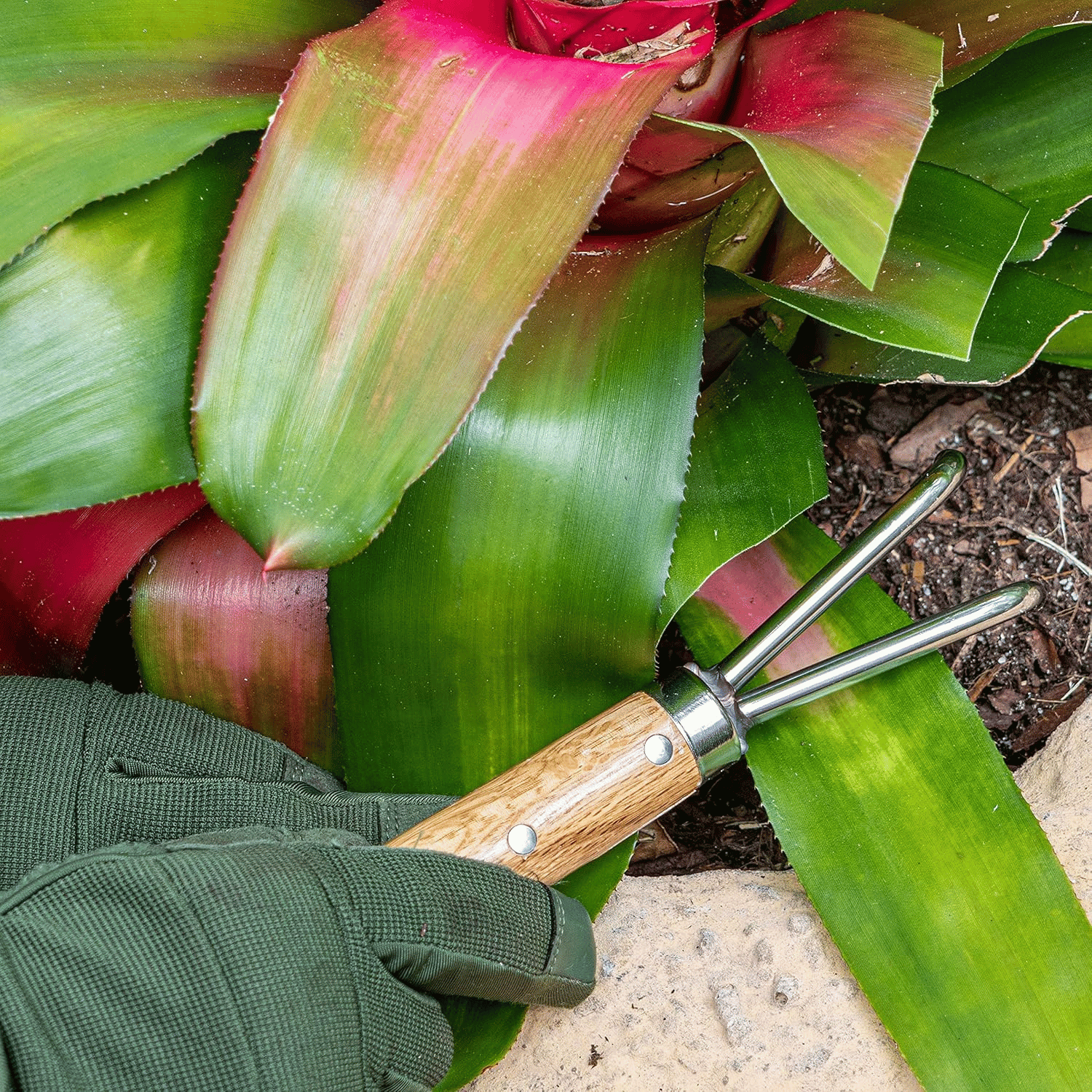 Cultivating soil with Nisaku 956 Root Scraper
