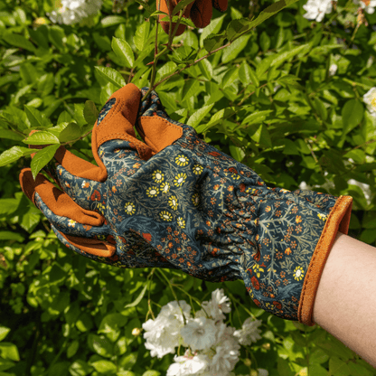 Orange Grove Blackthorn Thorn Proof Garden Gloves