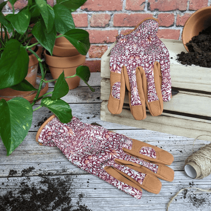 Orange Grove William Morris Snakeshead Gloves on Potting Bench