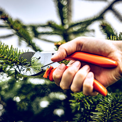 Original LOWE Pruner Made in Germany
