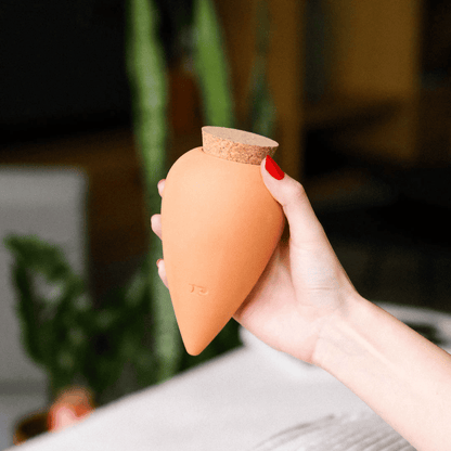 Original Terracotta Olla by Pepin