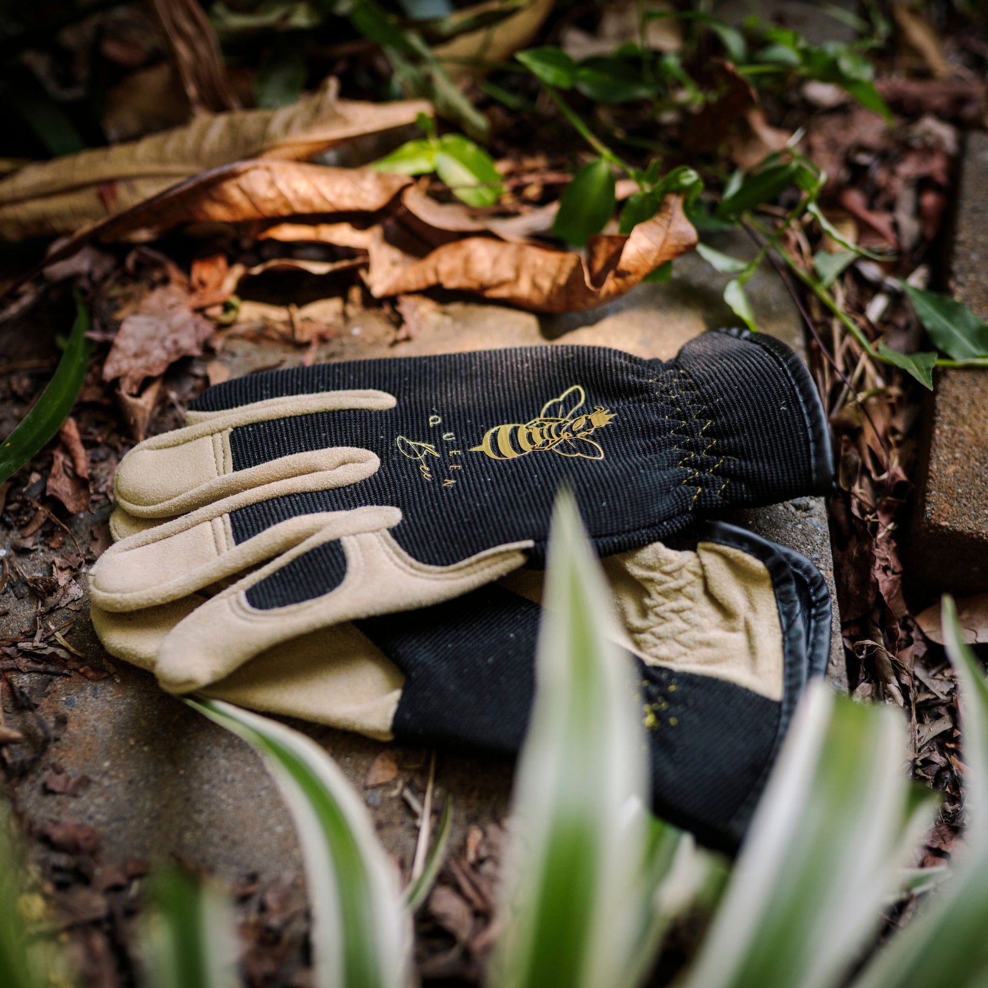 Pair of Queen Bee Unisex Gardening Gloves
