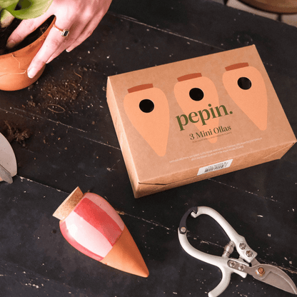 Pepin 3 Mini Ollas Box