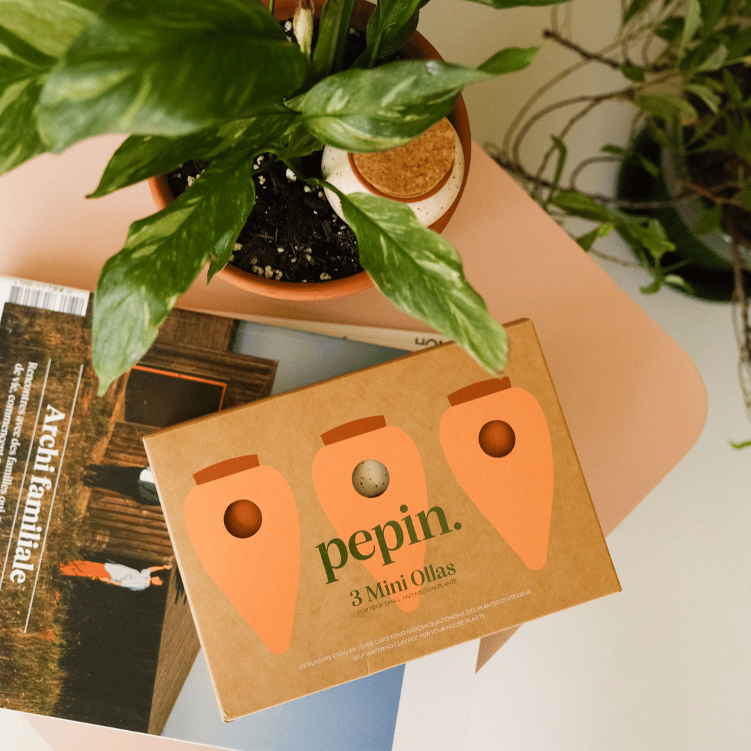 Pepin 3 Mini Ollas Gift Box