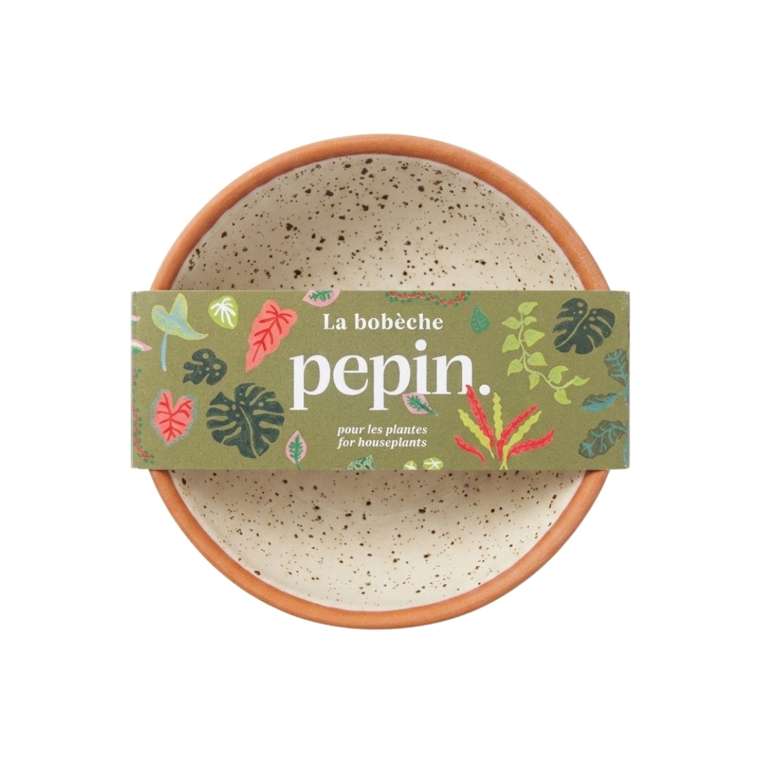 Pepin 'La Bobèche' for Plants, Speckled White