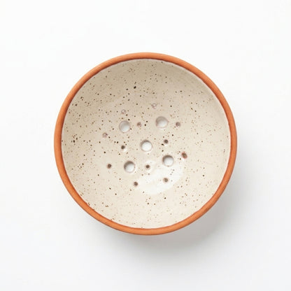 Pepin Disc with Holes for Flower Stems