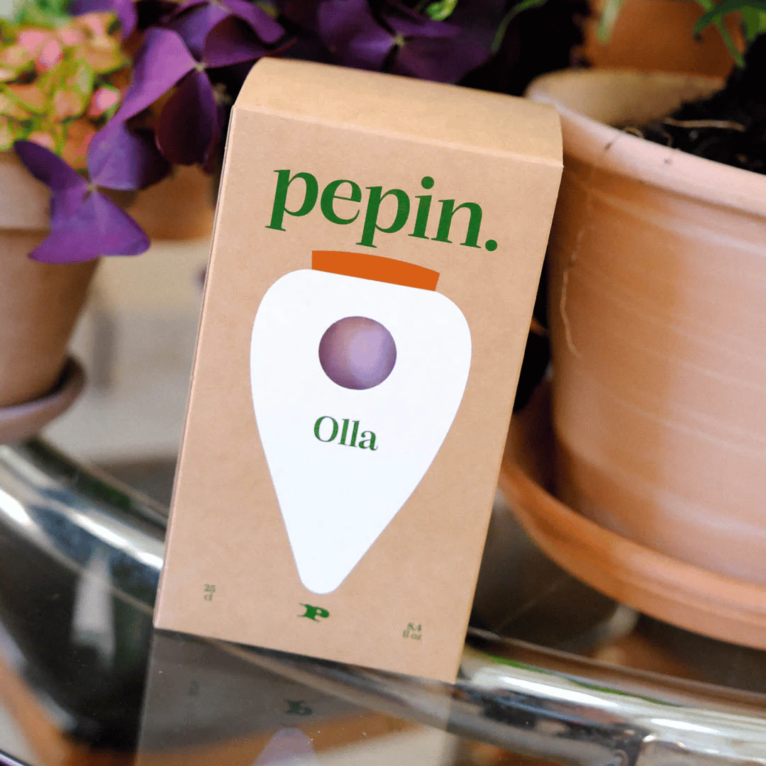 Pepin Green & Lilac Striped Olla Boxed