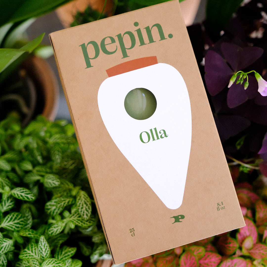 Pepin Green Olla Box