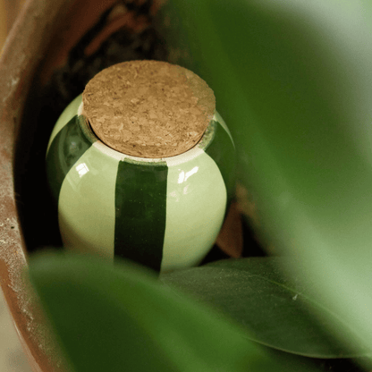Pepin Green Striped Olla with Cork Lid
