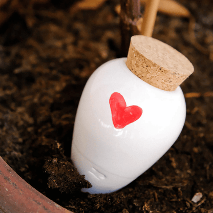 Pepin Heart Olla in Plant Pot