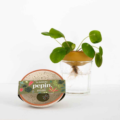 Pepin 'La Bobèche' Ceramic Dish for Plant Propagation, Speckled White