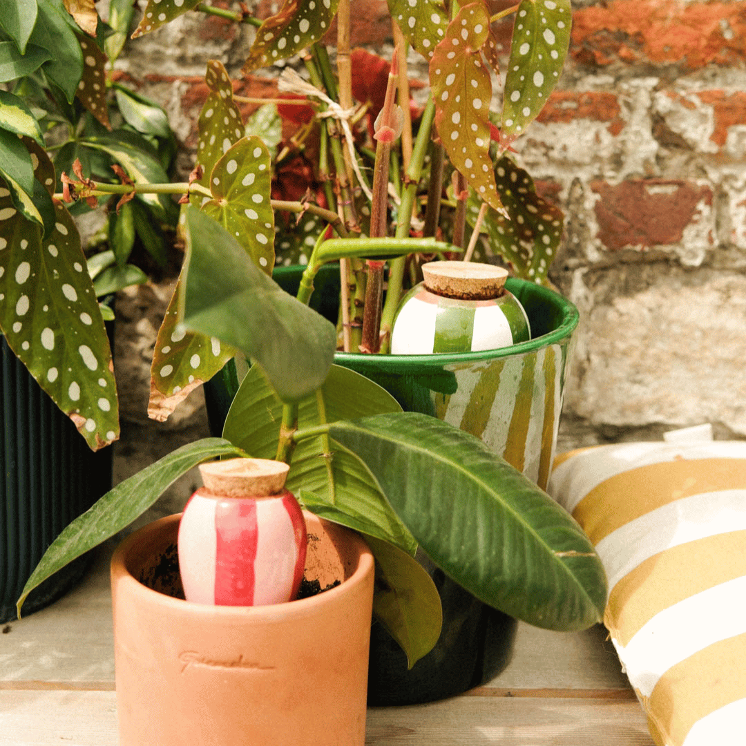 Pepin Mini Ollas, Green & Red Striped